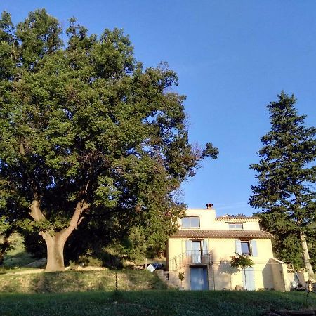 Maison D'Hotes Du Grand Chene Valensole Εξωτερικό φωτογραφία