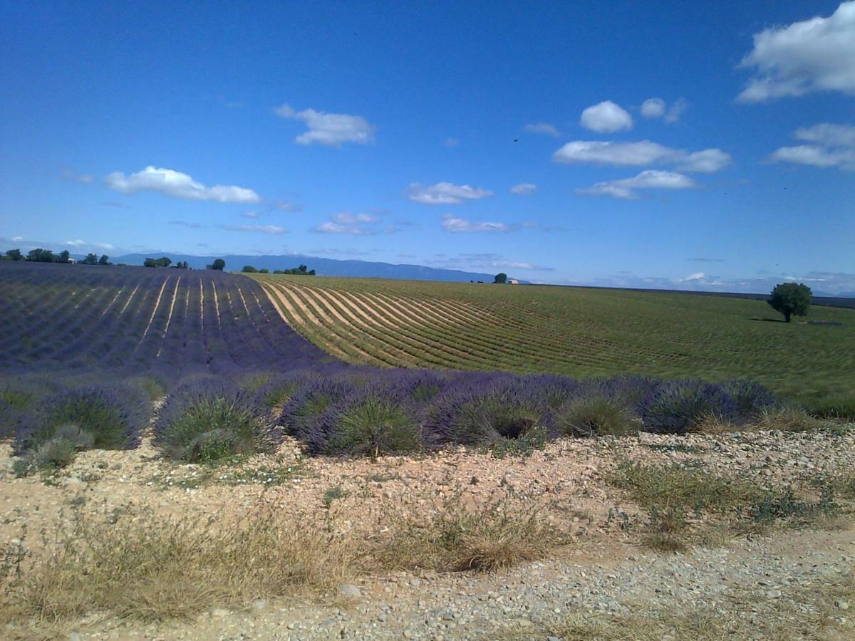 Maison D'Hotes Du Grand Chene Valensole Εξωτερικό φωτογραφία