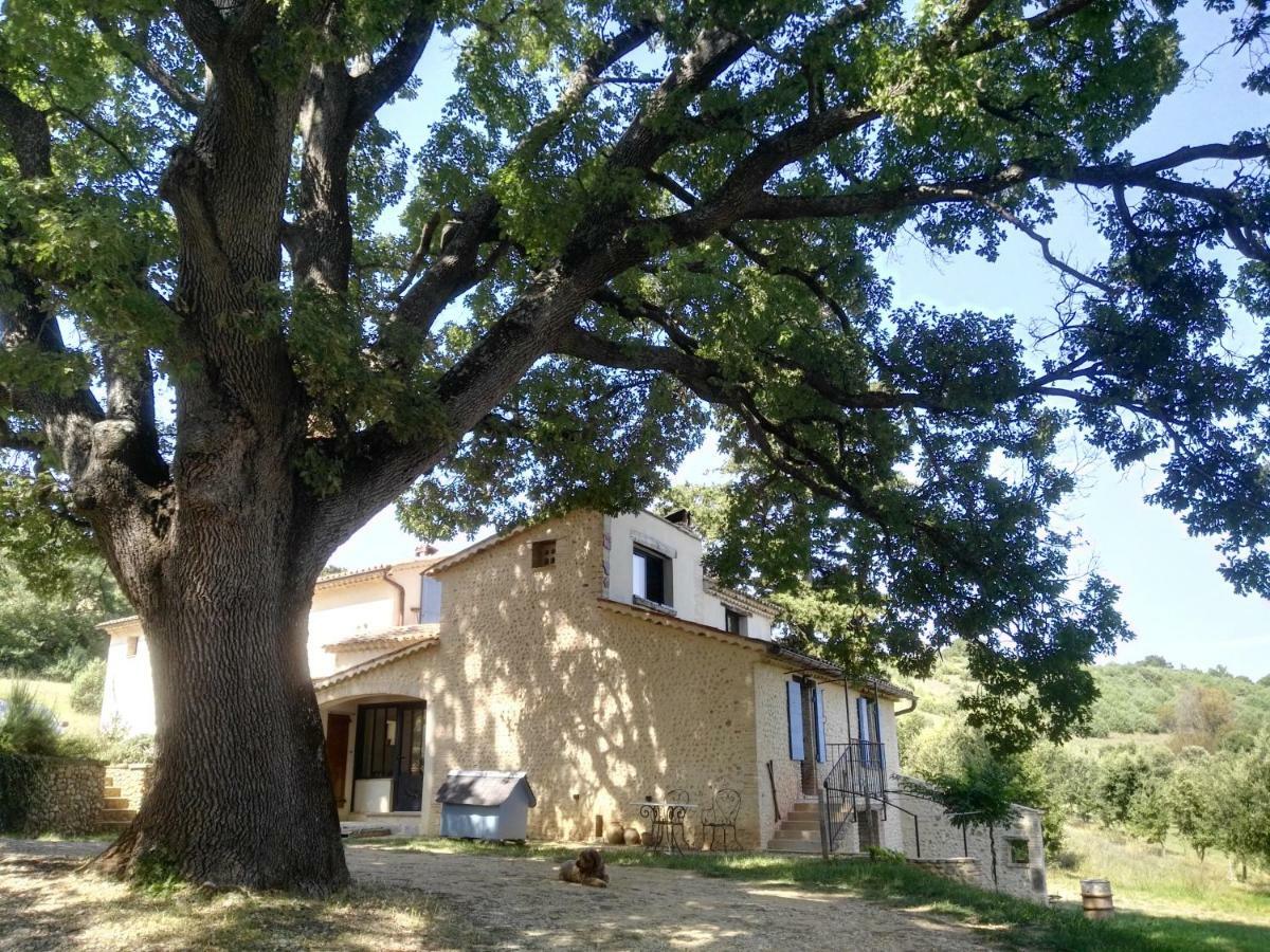 Maison D'Hotes Du Grand Chene Valensole Εξωτερικό φωτογραφία