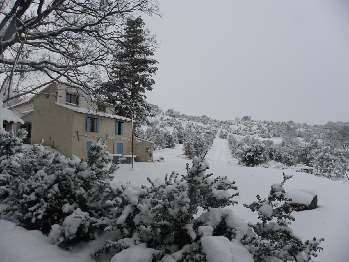 Maison D'Hotes Du Grand Chene Valensole Εξωτερικό φωτογραφία