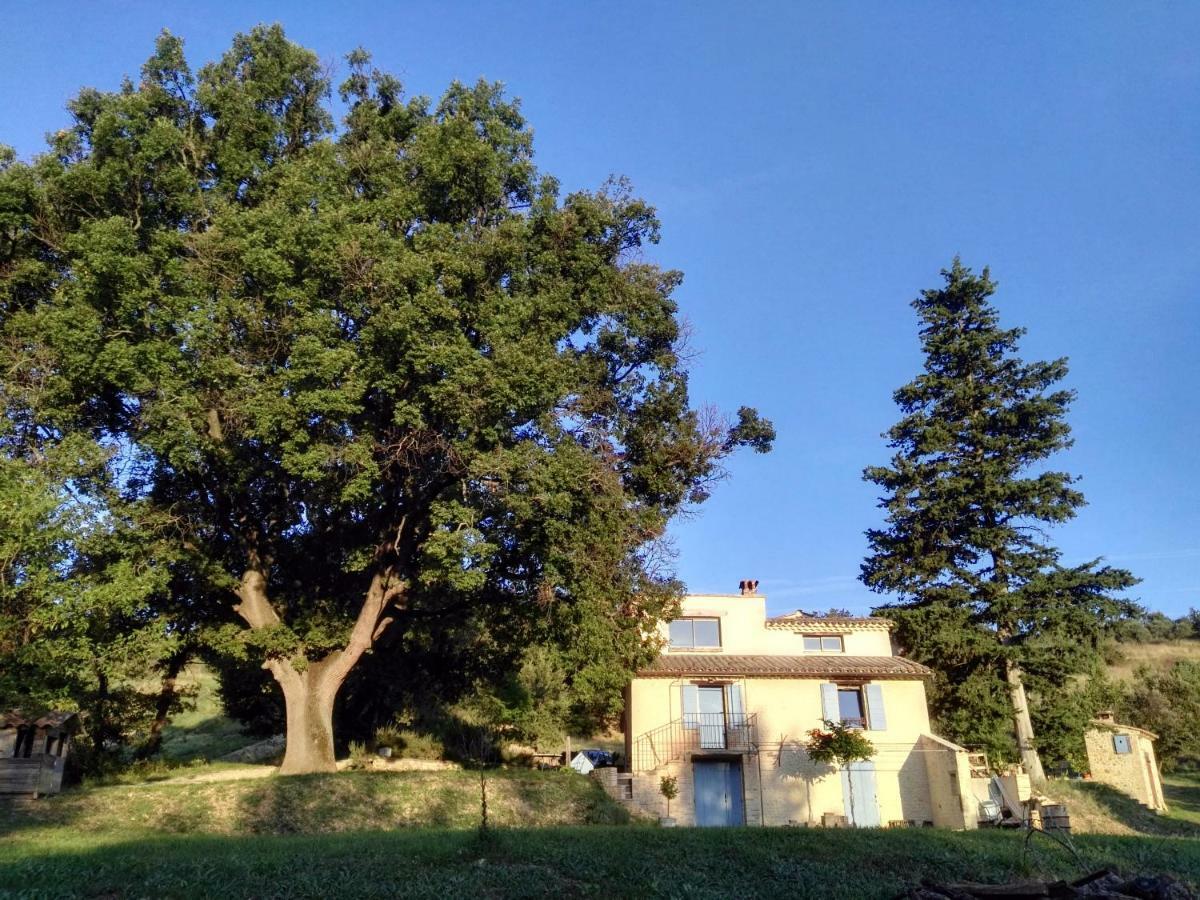 Maison D'Hotes Du Grand Chene Valensole Εξωτερικό φωτογραφία