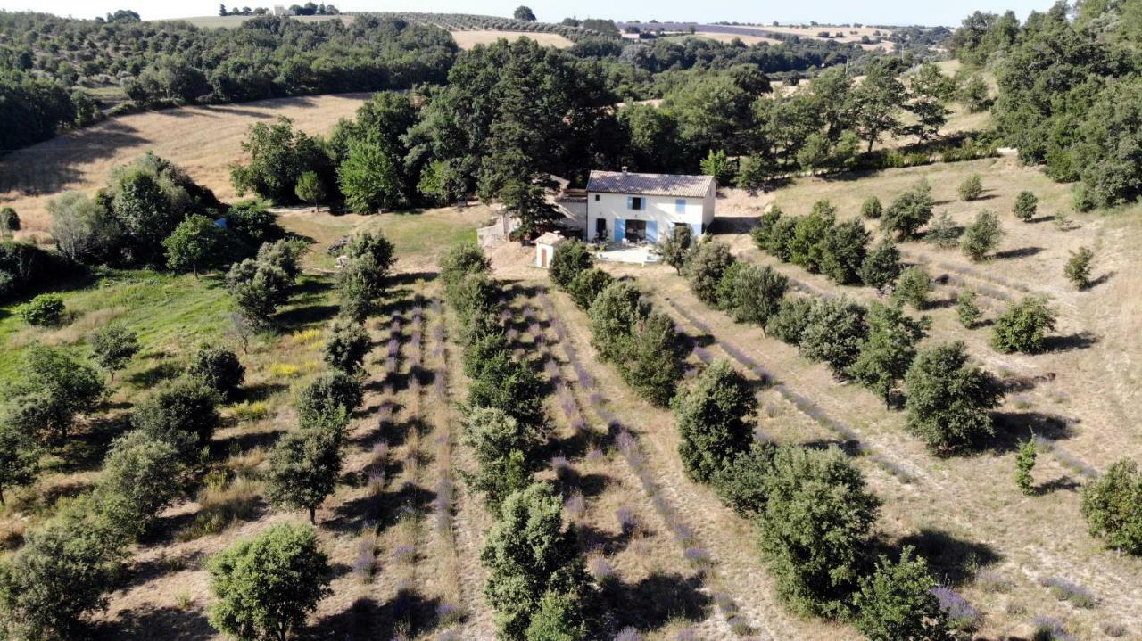 Maison D'Hotes Du Grand Chene Valensole Εξωτερικό φωτογραφία