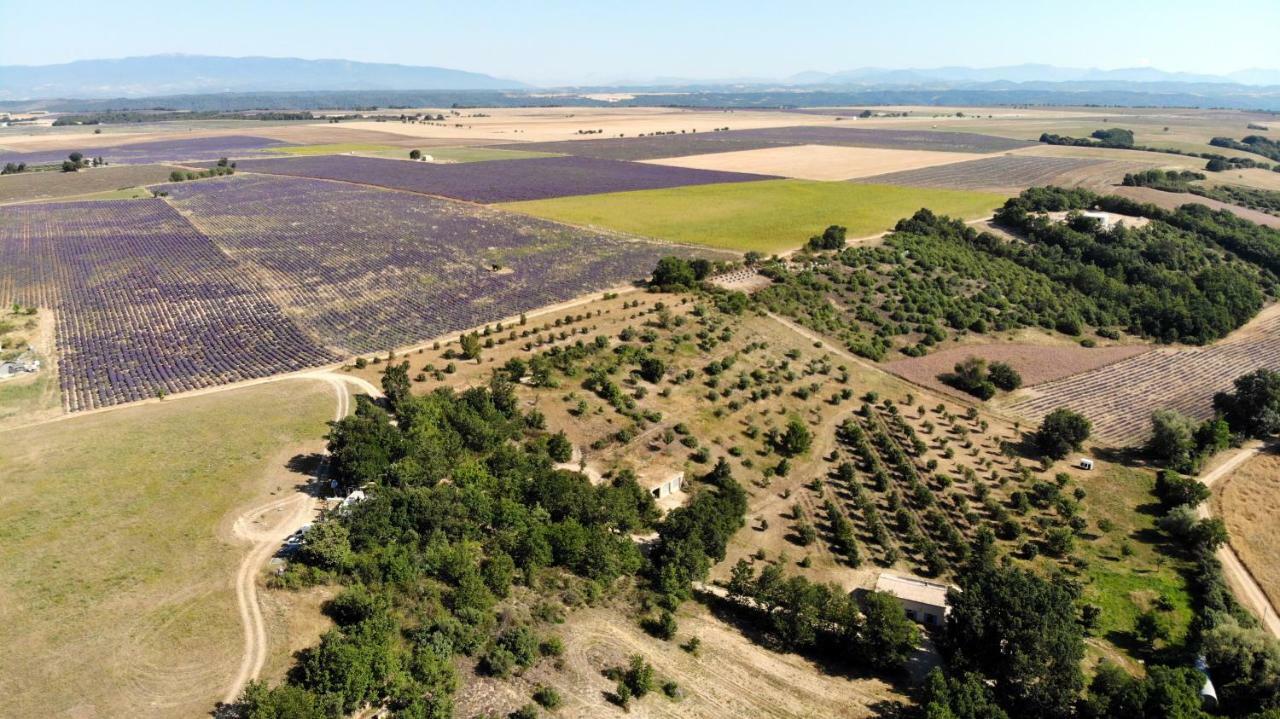 Maison D'Hotes Du Grand Chene Valensole Εξωτερικό φωτογραφία